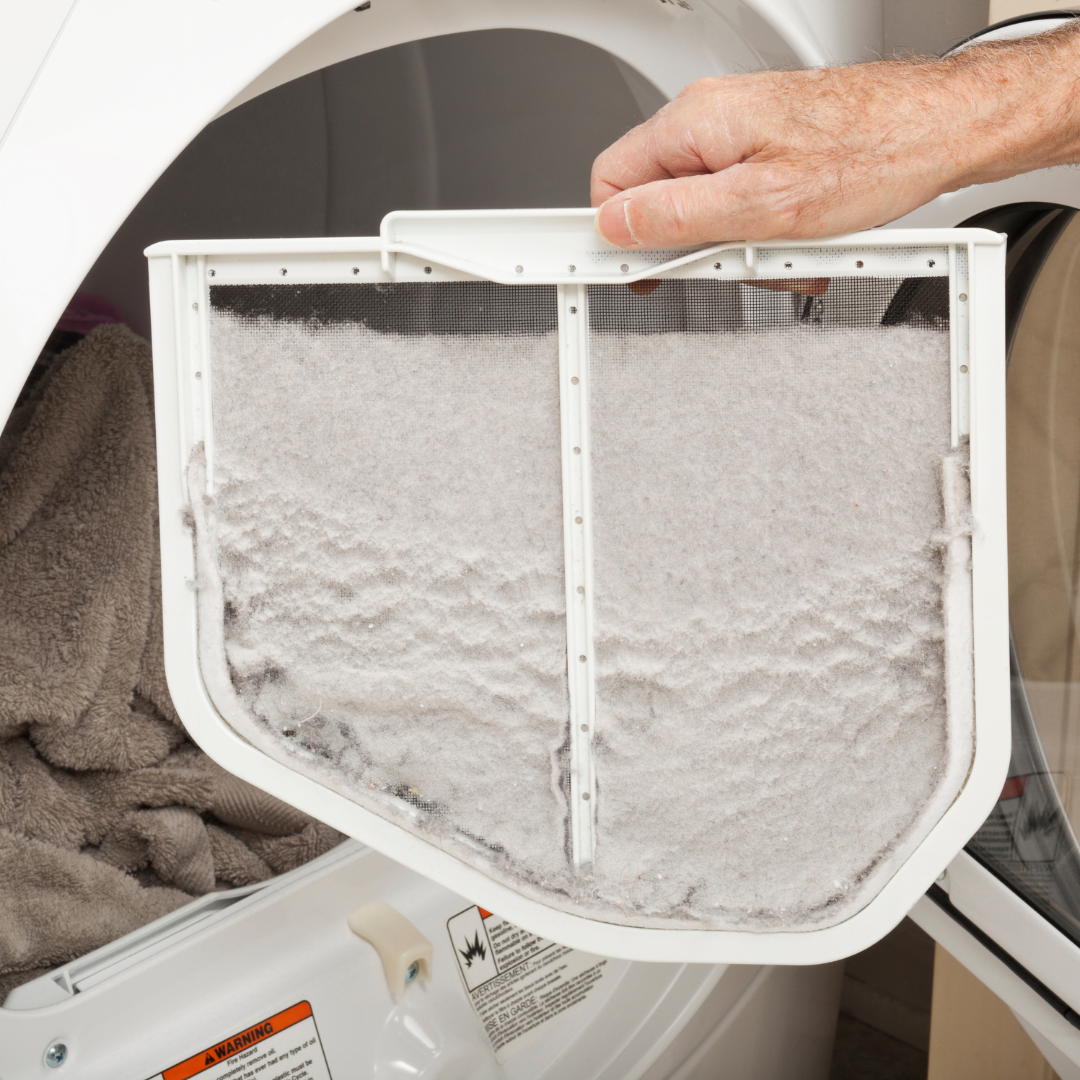 Everything You Did (and Didn't) Want to Know About Lint A Cleaner World
